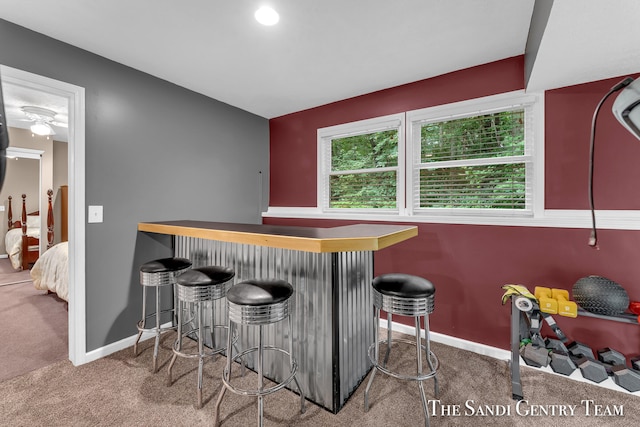 bar with carpet and ceiling fan