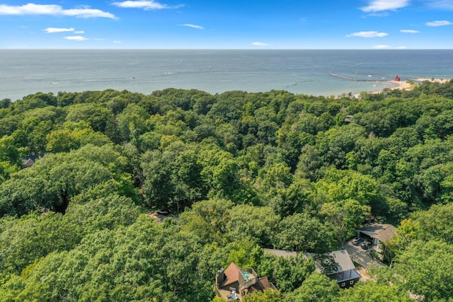 aerial view featuring a water view and a wooded view