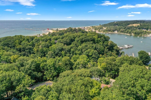 bird's eye view featuring a wooded view and a water view