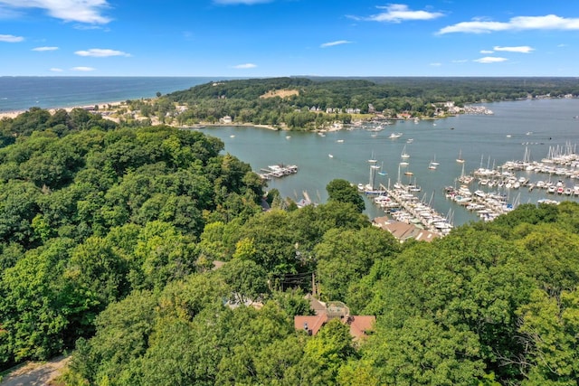 aerial view featuring a wooded view and a water view