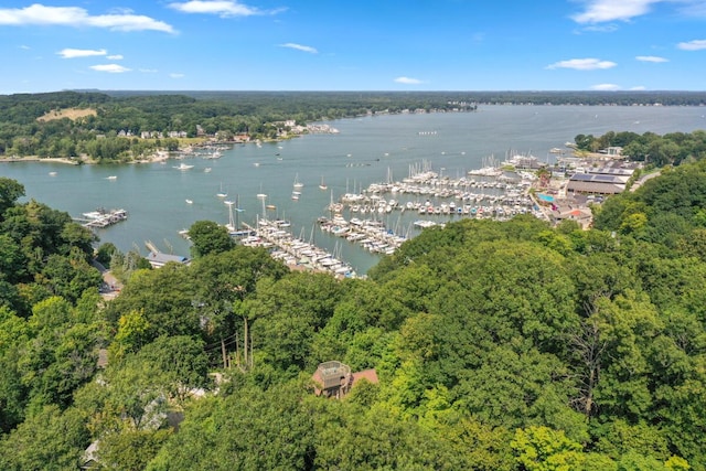 drone / aerial view featuring a wooded view and a water view