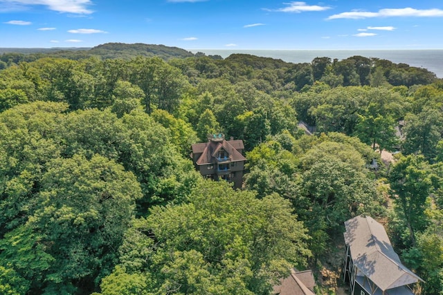 aerial view with a view of trees and a water view