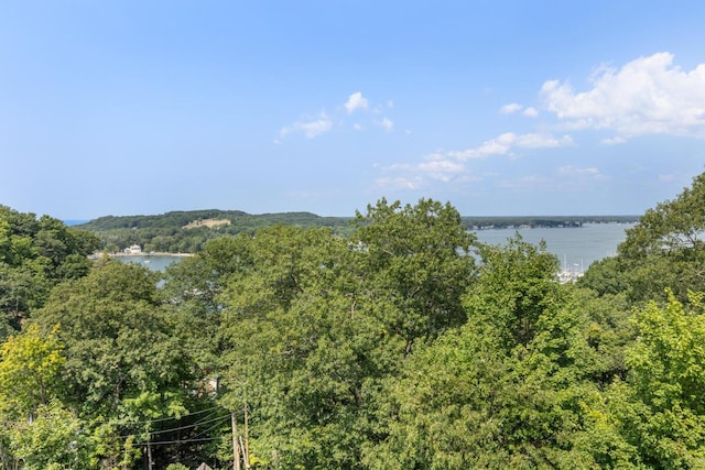 water view featuring a view of trees