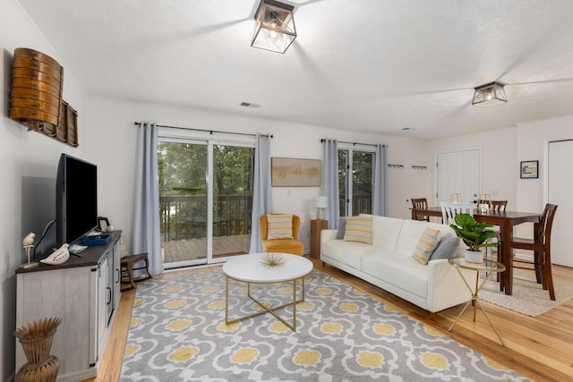 living room with visible vents and wood finished floors