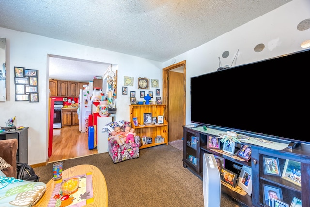 living room with light carpet and a textured ceiling