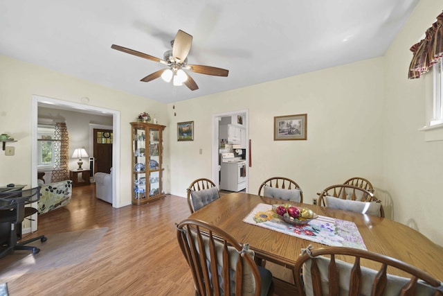 dining room featuring ceiling fan and wood-type flooring