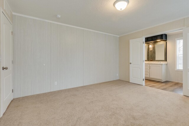 empty room featuring light colored carpet and ornamental molding