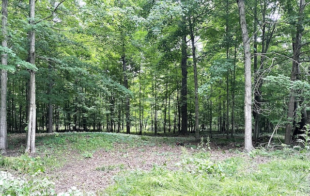 LOT184 S E Shore Dr, Stanton MI, 48888 land for sale