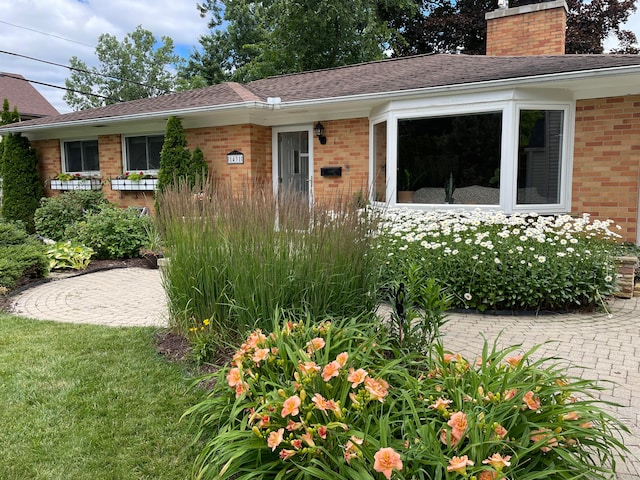 single story home featuring a front lawn