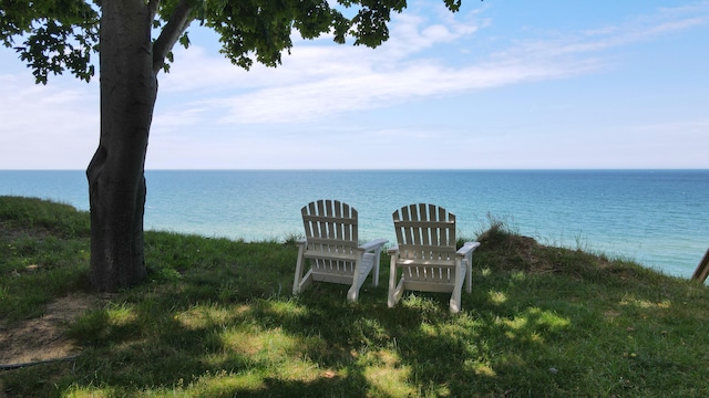 property view of water