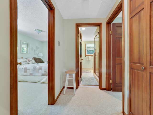 corridor featuring a textured ceiling, plenty of natural light, and light carpet