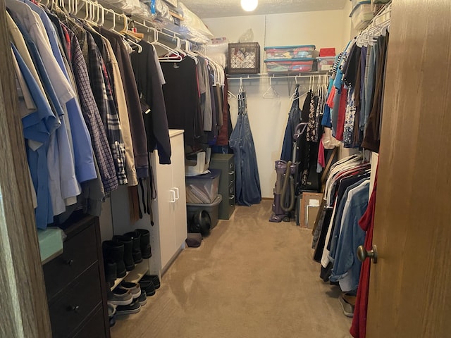 spacious closet with light colored carpet