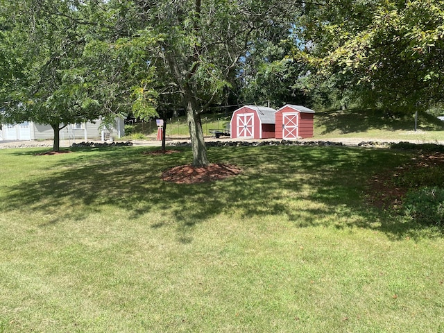 view of yard featuring a storage shed and an outdoor structure