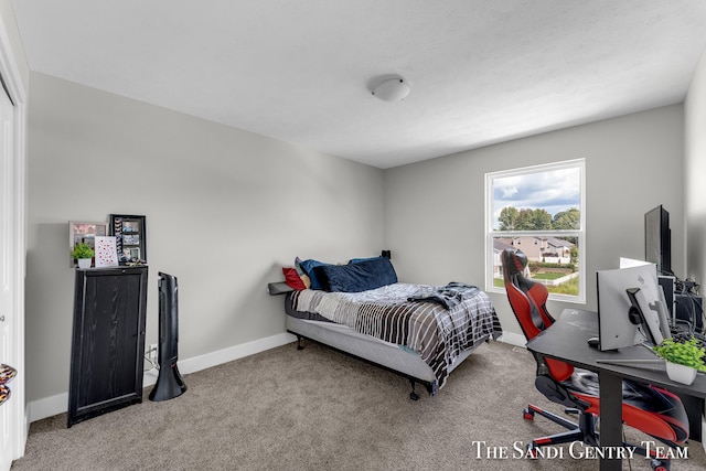 bedroom with light colored carpet