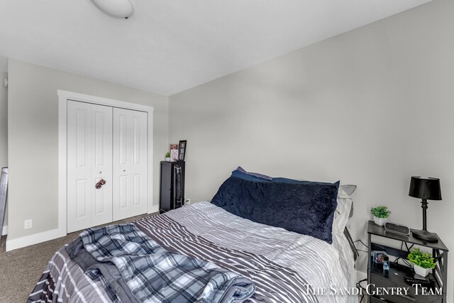 bedroom featuring carpet flooring and a closet