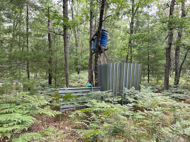 view of local wilderness