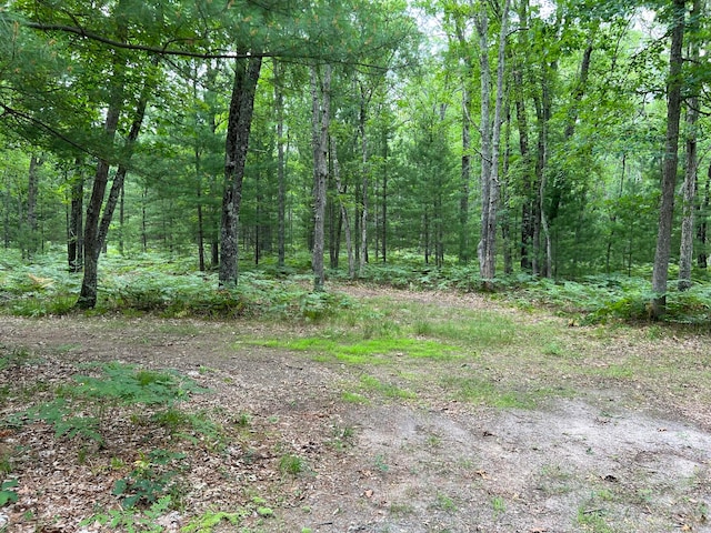 view of local wilderness