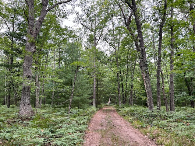 view of road