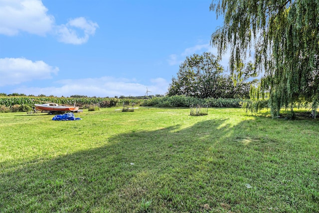 view of yard featuring a rural view