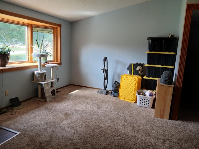 miscellaneous room with carpet floors and a textured ceiling