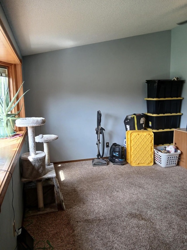 misc room with carpet floors and a textured ceiling