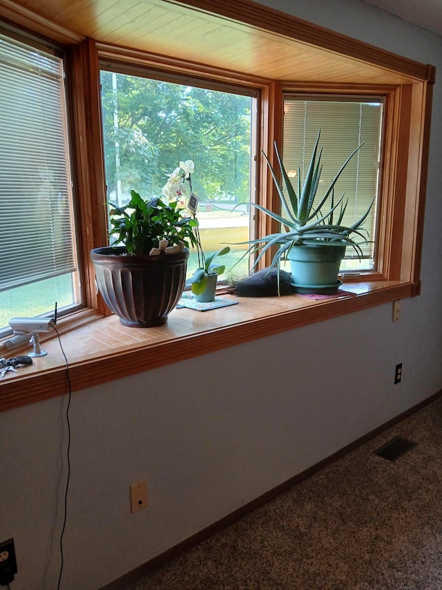 room details featuring carpet and wood ceiling