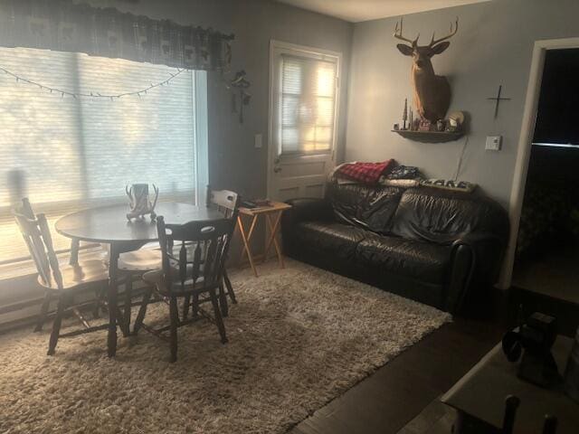 dining area featuring a wealth of natural light