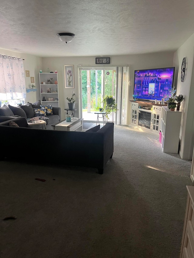 carpeted living room with a textured ceiling