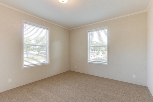 spare room with crown molding, plenty of natural light, and carpet