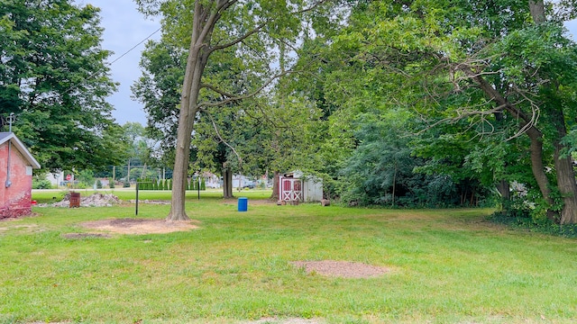 view of yard featuring a shed