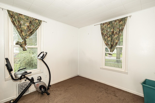 workout room with carpet