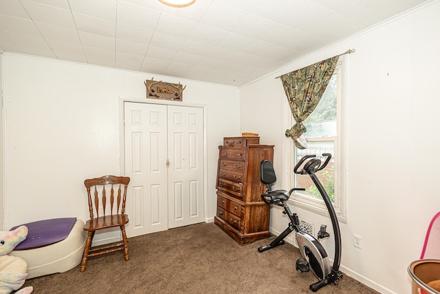 exercise area featuring carpet floors and crown molding