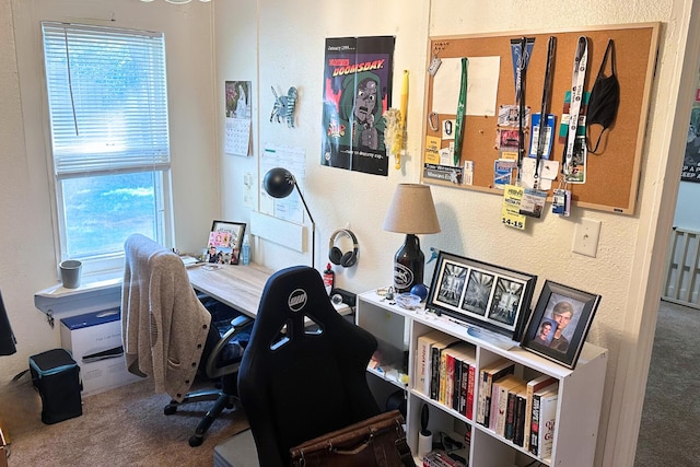 home office with carpet floors