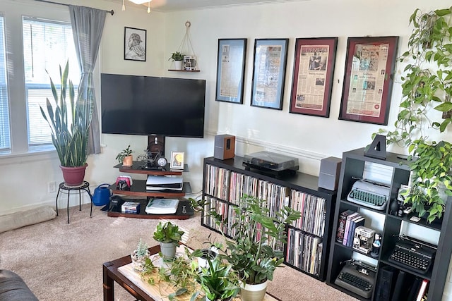 view of carpeted living room