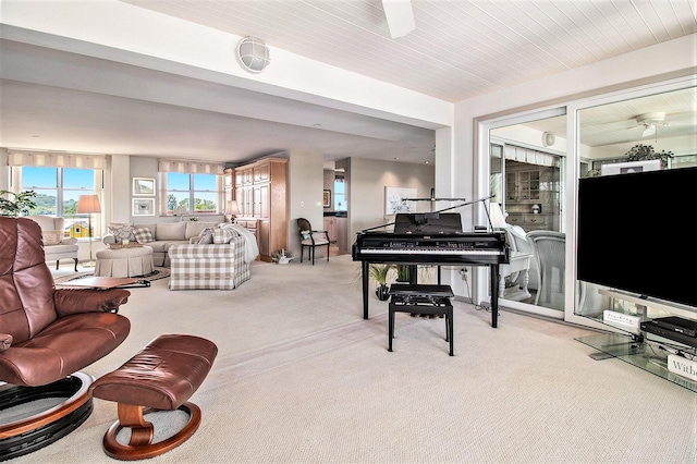 living area featuring carpet flooring