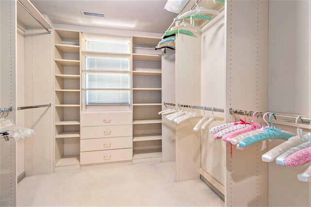 spacious closet with carpet and visible vents