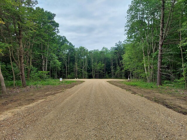 19118 77th St, South Haven, MI 49090 - photo 3