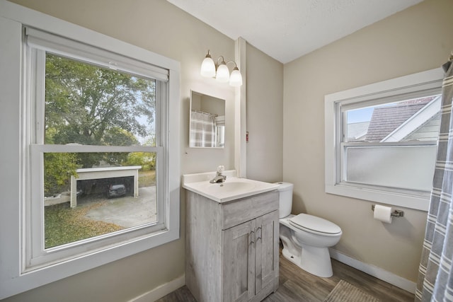 bathroom with vanity, hardwood / wood-style floors, and toilet