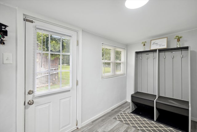 mudroom featuring light wood-type flooring and a healthy amount of sunlight