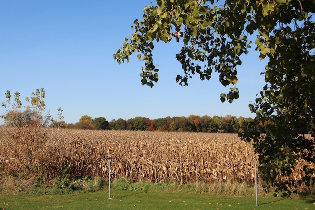 view of nature with a rural view