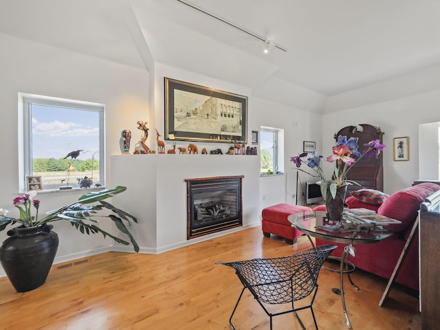 living room featuring track lighting, light hardwood / wood-style flooring, and a healthy amount of sunlight