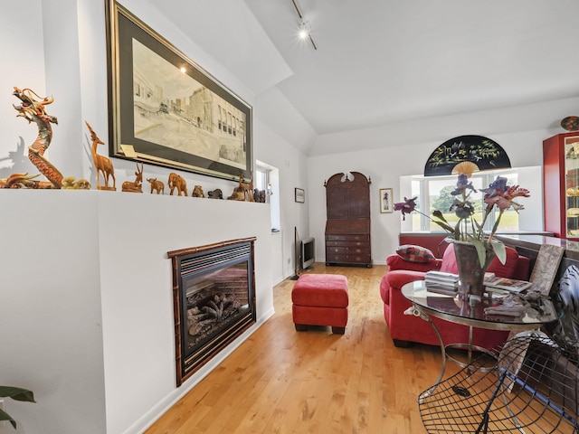 living room featuring wood-type flooring and track lighting