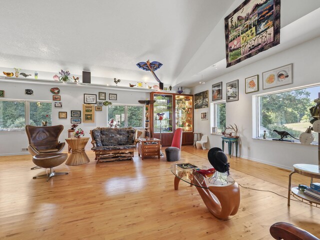 living room with a textured ceiling, light hardwood / wood-style flooring, vaulted ceiling, and a healthy amount of sunlight