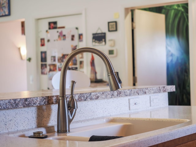 interior details featuring sink