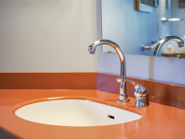 interior details featuring sink