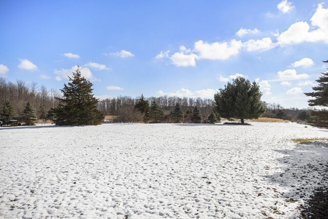 view of yard covered in snow