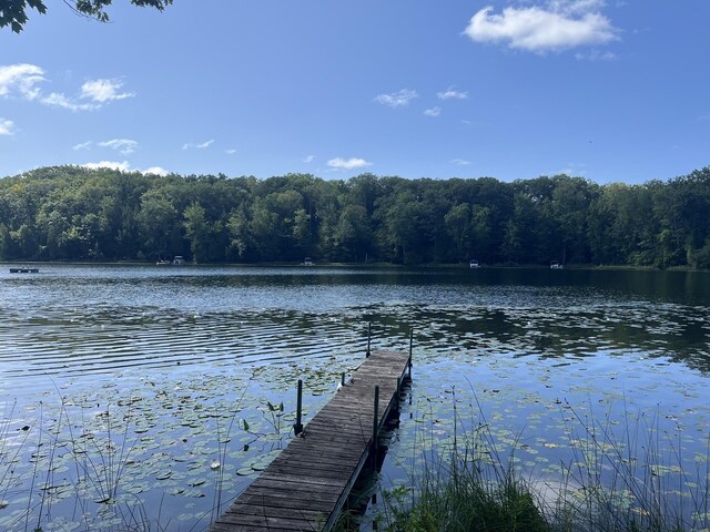 dock area with a water view