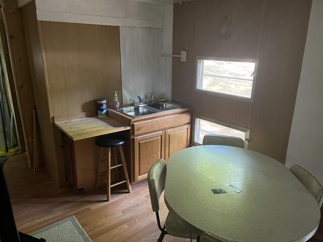 kitchen featuring light wood-type flooring, sink, and wood walls