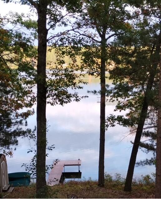 water view featuring a dock