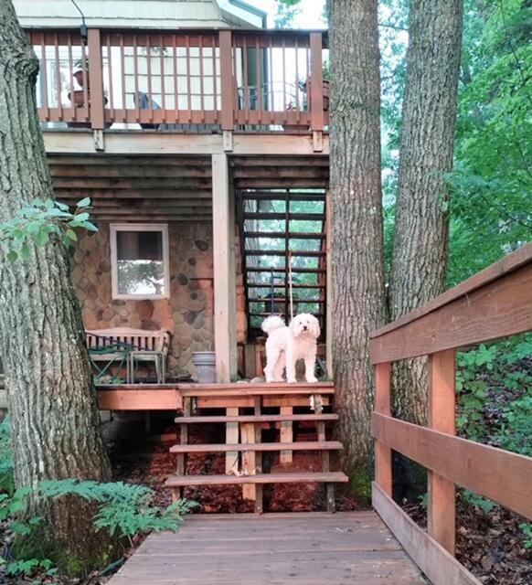 back of house featuring a deck